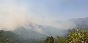 Osmaniye'deki Orman Yangınına Havadan ve Karadan Müdahale Sürüyor