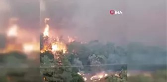 Yunanistan orman yangınlarıyla mücadele ediyor