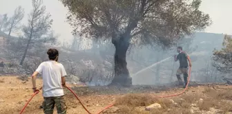 Rodos Adası'nda 19 Bin Kişi Tahliye Edildi