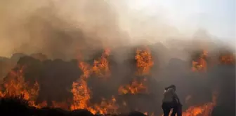 9 gündür alevlere teslim olan Rodos'ta OHAL ilan edildi