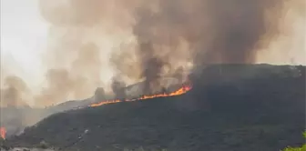 Rodos Adası son durum nedir? Rodos Adası yangını son dakika haberleri!