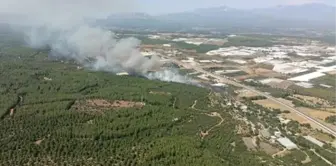 Antalya'da Aksu ve Demre'de Orman Yangını