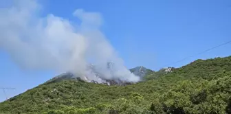 Antalya Demre'deki Orman Yangını Kontrol Altına Alındı