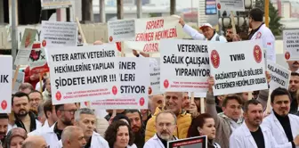 Veteriner Hekimler İş Bırakma Kararı Aldı