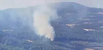 Manisa'da Orman Yangınına Havadan ve Karadan Müdahale Ediliyor