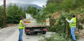 Toroslar Belediyesi Yayla Yollarında Temizlik Çalışması Yaptı