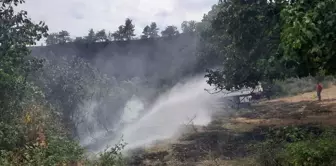 Sinop'ta ormanlık alanda çıkan yangın söndürüldü