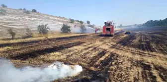 Kastamonu'da çıkan yangınlar kontrol altına alındı