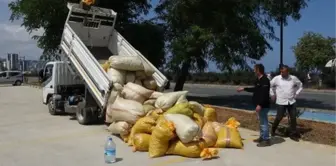 Karadeniz Bölgesi'nde Fındık Üreticileri Ürünlerini Kurutmak İçin Sahil Yolunu Kullanıyor