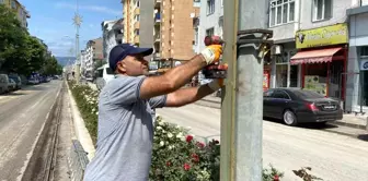 Boztram güzergahındaki elektrik direkleri ahşap kaplamalar ile kaplanıyor