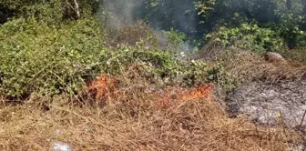 Karabük'ün Yenice ilçesinde orman yangını kontrol altına alındı