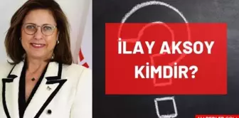 İlay Aksoy kimdir? Kaç yaşında, nereli, mesleği ne, hangi partili? Demokrat Parti Genel Başkan Yardımcısı İlay Aksoy'un hayatı ve biyografisi!