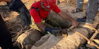 Şanlıurfa'da Kuyuya Düşen Yavru Kedi İtfaiye Tarafından Kurtarıldı