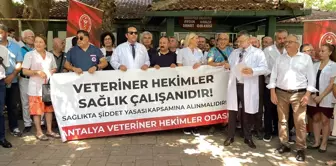 Antalya'da Veteriner Hekimler Şiddete Tepki Gösterdi