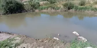 Ağrı'da Nehirde Boğulan Çocuk Hayatını Kaybetti