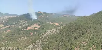 Adana'nın Feke ilçesinde orman yangını kontrol altına alınmaya çalışılıyor