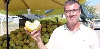 Kavun Çekirdekleri Takviye Gıda ve Kozmetik Ürünü Olarak Değerlendirilecek