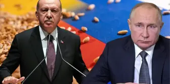 Cumhurbaşkanı Erdoğan, tahıl krizini çözmek için Soçi'ye çıkarma yapacak