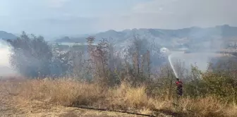 Çorum'un Osmancık ilçesinde çalılık alanda yangın çıktı