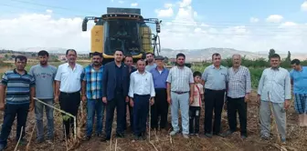 Adıyaman'ın Gölbaşı Kaymakamı Tarık Buğra Seyhan Ayçiçeği Hasadına Katıldı