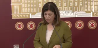 Meral Danış Beştaş: 'Daha Önce Yaşanan Depremlerde Hasarlı Bina ve Otoyollarının Yapımını Üstlenen Şirketlere Dahi Konut Yapım İşi İhalesi Veriliyor'