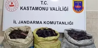 Kastamonu'da Kablo Hırsızlığı Şüphelileri Yakalandı