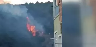 Sarıyer'de Ormanlık Alanda Yangın Çıktı