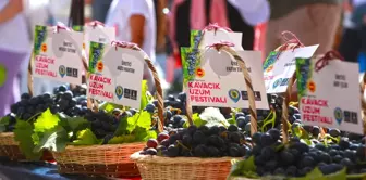 Karabağlar Belediyesi 11. Kavacık Üzüm Festivali'ni Düzenliyor