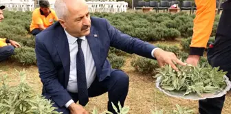 Gebze Belediye Başkanı Şifa Kapısı Tıbbi Aromatik Bitkiler Parkını Ziyaret Etti