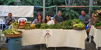 İzmir Milletvekili Ceyda Bölünmez Çankırı, kadın kooperatiflerince kurulan pazarı açtı