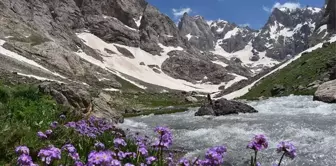 Cilo dağı nerede? Cilo dağı kaç metre, yüksekliği ne kadar? Cilo Dağı volkanik mi?