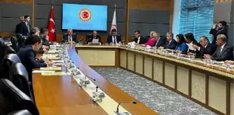 'Balıkçı barınaklarının kanuni alt yapısı güçlendirilmeli'