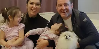 Nihat Kahveci'nin köpeği sokak köpekleri tarafından öldürüldü