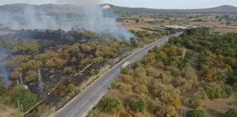 Edirne'de Hamzabeyli Sınır Kapısı yakınındaki yangın söndürüldü