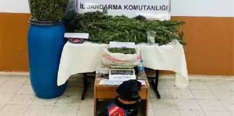 Samsun'da 22 Kilo Esrar Ele Geçirildi