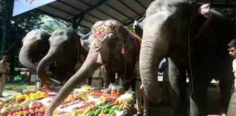 Myanmar'daki Yangon Hayvanat Bahçesi'nde 70. doğum günü kutlaması