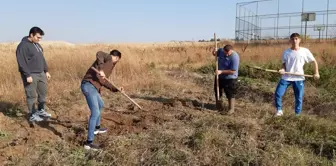 Edirne'de Üniversite Öğrencileri Kök Boya Bitkisi Hasadı Yaptı