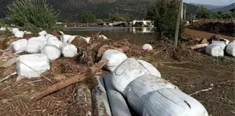 Söke'deki sel felaketi Ege Denizi'ne kirlilik taşıyor