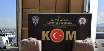 Yalova'da Osmangazi Köprüsü Gişelerinde Kaçak Tütün Ele Geçirildi