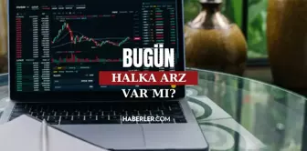 8 Kasım bu hafta halka arz var mı? Bugün halka arz olacak yeni şirket var mı? Kasım ayı halka arz listesi!