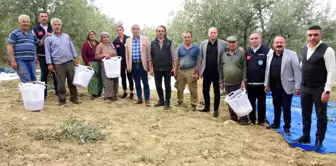 Manisa Büyükşehir Belediyesi Zeytin Hasadında Çiftçilere Koruyucu Ekipman Dağıtıyor