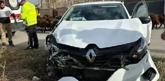 Iğdır'da Öğretmenler Günü kutlamasına giden öğretmenler kaza geçirdi