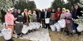 Manisa Büyükşehir Belediyesi, zeytin toplayan işçilere koruyucu malzemeler dağıttı