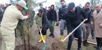 Batman'da Türkiye Yüzyılı Mehmetçik Hatıra Ormanı Oluşturuldu