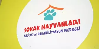 Konyaaltı Belediyesi Sokak Hayvanları Sağlık ve Rehabilitasyon Merkezi'nde Sokak Hayvanlarına Isıtıcılarla Koruma