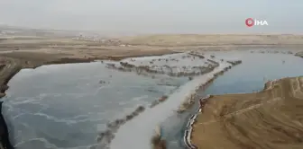 Soğuk hava Kars barajını dondurdu