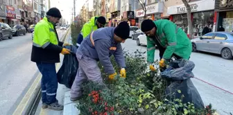 Bozüyük Belediyesi Yeşil Alanlarda Temizlik ve Bakım Çalışmalarına Devam Ediyor