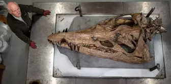 Devasa Deniz Canavarının Kafatası Jurassic Sahili'nde Bulundu