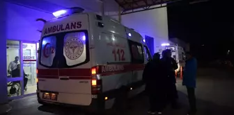 İskenderun'da Balon Balığı Zehirlenmesi: 2'si Çocuk 7 Kişi Hastanede Tedavi Altına Alındı