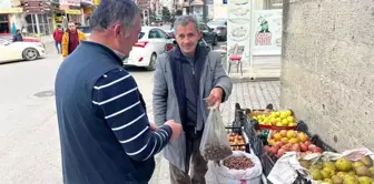 Sinop'ta Erfelek kuzu kestanesi sezonu sona eriyor